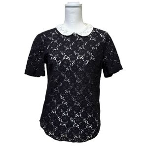 Equipment Femme Peter Pan Collar Sheer Lace Short Sleeve Top